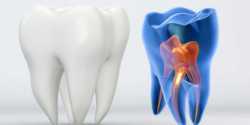 Odontologia Avançada